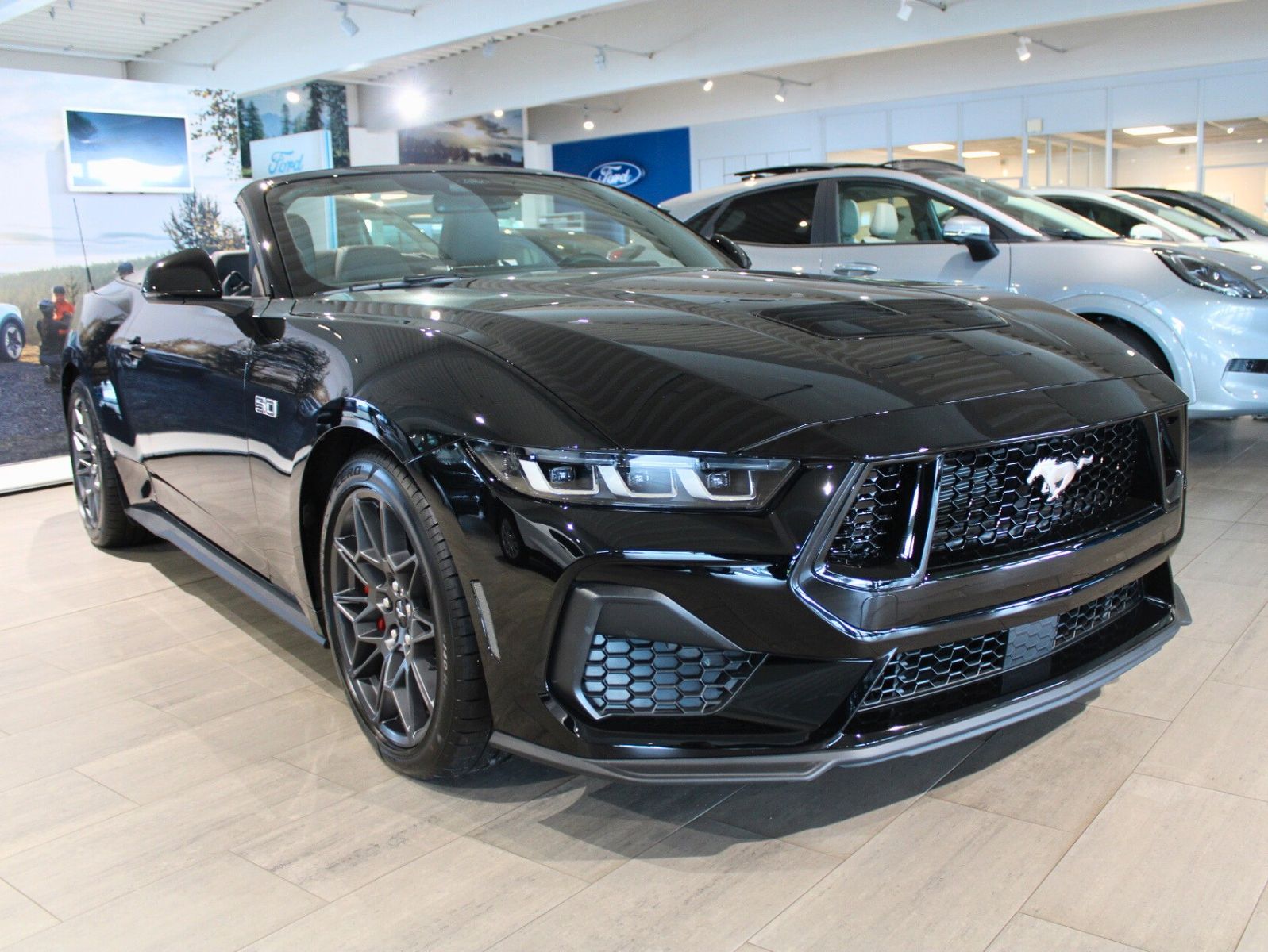 Fahrzeugabbildung Ford Mustang 5.0 V8 GT Automatik LED ACC Kamera Leder