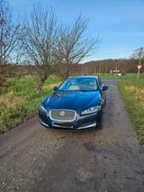 Jaguar XF 3.0 L V6 Diesel Sportbrake -