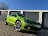 Volkswagen Scirocco TSI *Navi/Sitzhzg./PDC/DVD/Bluetooth* - Volkswagen Scirocco: Grün
