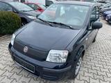 Fiat Panda 1.2 8V KLIMA/SERVO/EL.FH/HU NEU/1HAND - gebrauchte Fiat Panda aus dem Jahr 2011