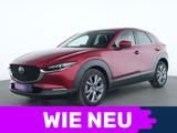 Mazda CX-30 Selection HeadUp|LED|ACC|Kamera|BOSE|SHZ - Mazda CX-30 Gebrauchtwagen in Frankfurt