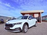 Skoda Octavia Combi Scout First Edition 4x4 DAB HUD