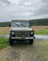 Mercedes-Benz G 250 - WOLF - 461 - Mercedes-Benz 461