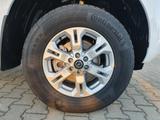 Nissan NAVARA KC ACENTA 160PS 6MT 4WD DIFF AHK+C EB 3SK - Nissan aus 2022
