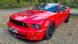 Ford Mustang Shelby GT 500 - Ford Mustang aus 2008: Shelby