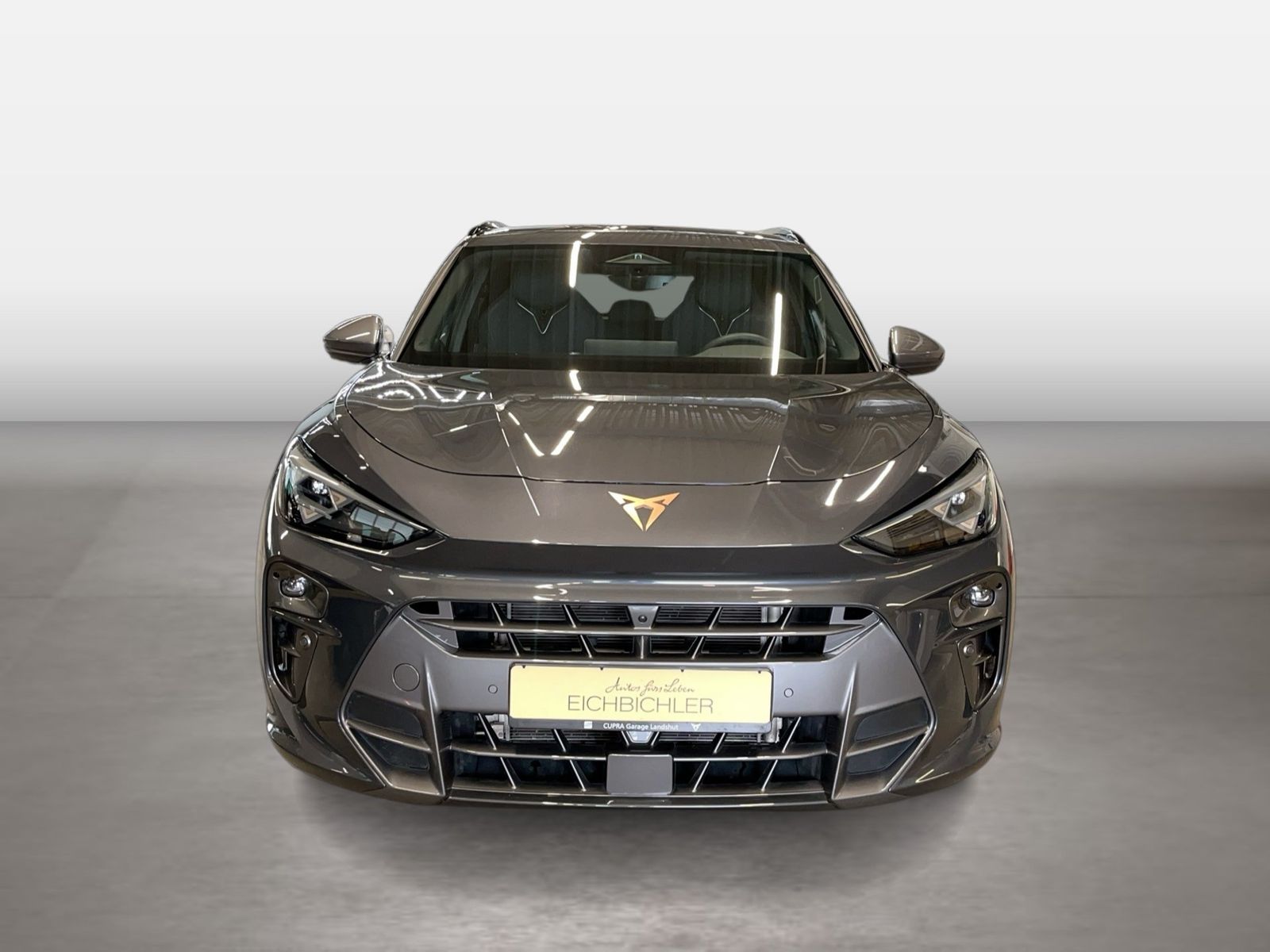 Cupra Terramar - Bild 7