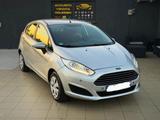 Ford Fiesta 1.5 TDCi 95CV 5 porte Black& White E - Ford Fiesta: Black