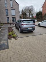 Opel Grandland (X) 1.6 Hybrid4 Business Edition A... - Opel Grandland (X) Edition mit Hybrid-Antrieb (Benzin/Elektro)