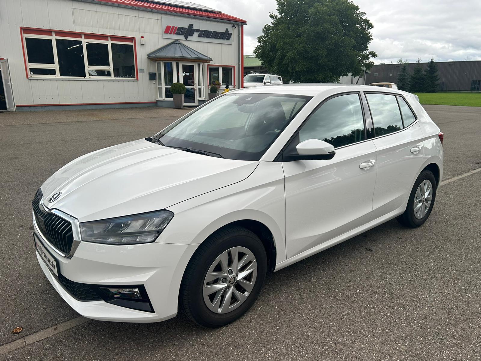 Skoda Fabia Selection