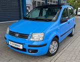 Fiat New Panda 1.2 8V Dynamic TÜV NEU SERVO ZENTRAL - blaue Fiat New Panda