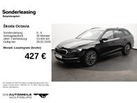 Skoda Octavia - Vorschau Bild 2