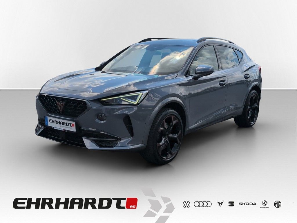 Formentor 2.0 TSI DSG 4Drive VZ DCC AHK*PANO*MAT