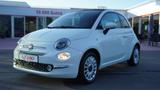 Fiat 500C 1.0 M-Hybrid DolceVita Beats Soundsystem - Fiat 500C: Sitzheizung