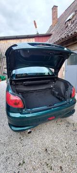 Peugeot 206 CC Roland Garros 135 Roland Garros - Peugeot 206: Grün