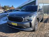 Skoda Kodiaq TDI DSG 4x4 Selection Matrix Navi AHZV - graue Skoda Kodiaq