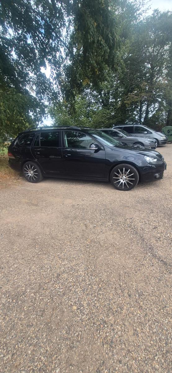 Volkswagen Golf 2010 — rear view