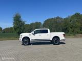 Ford F 150 USA F150 Shelby - Ford: Usa