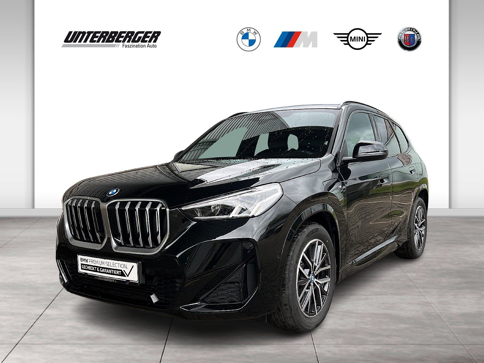 BMW X1 xDrive25e M Sport PA Adapt. Fahrwerk Sitzheiz