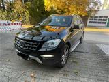 Mercedes-Benz Mercedes ML 250 CDI BlueTek - Mercedes-Benz ML 250 aus 2012