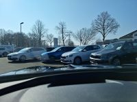 Cupra Terramar - Vorschau Bild 17
