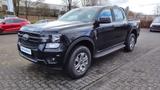 Ford Ranger DoKa XLT 170PS M6 4WD - Ford Ranger: Limousine