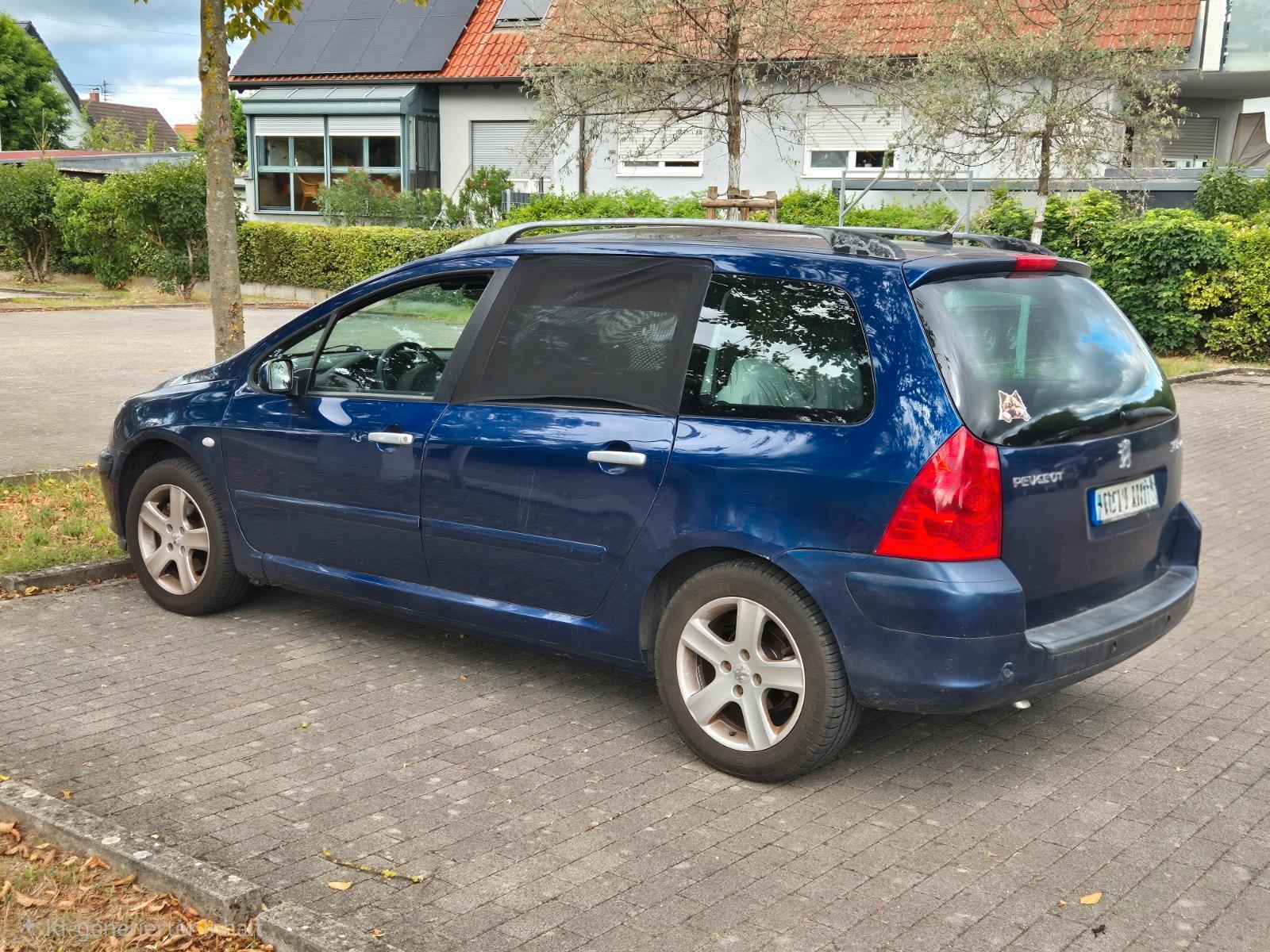 Peugeot 307 2004 — rear view