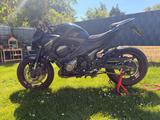 Kawasaki Z800 ABS | Akrapovic | Alcantara-Sitzbank - KAWASAKI 800