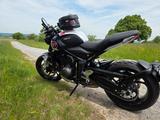 Triumph Trident 660 trible tribute Slippery Sam - TRIUMPH TRIDENT