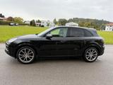 Porsche Cayenne 3.0 | 21" | LUFT | ACC | AHK | PANO usw. - Porsche: Us