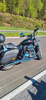 Harley-Davidson Sportster XL 1200T SuperLow  - Angebote