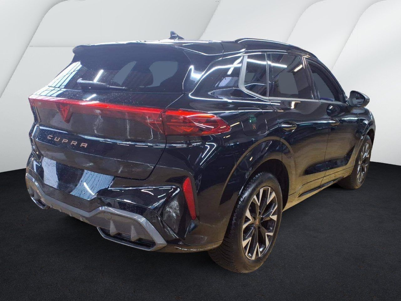 Cupra Terramar - Bild 3