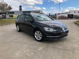 Volkswagen Golf VII BlueMotion TGI ACC Navi Led DSG Top - Volkswagen Golf: Bluemotion
