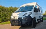 Chausson V594s  - Offers