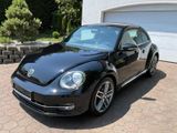 Volkswagen Beetle Lim. Design,8XALU,2.HAND,Tüv 1-2027 - Volkswagen Beetle mit Benzin-Antrieb: 1.8