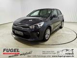 Kia Rio 1.2 Dream Team | RFK | SHZ | Klimaaut. - Kia Rio mit Benzin-Antrieb: Kleinwagen, 1.2
