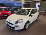 Fiat Punto 1.3 MJT II 75 CV 5 porte Easy - Fiat Punto: Easy