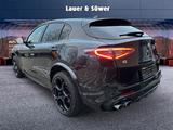 Alfa Romeo Stelvio Quadrifoglio Benzin 519 PS AT *PANO* - Alfa Romeo Gebrauchtwagen