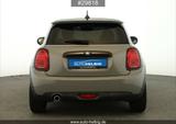 MINI Mini Cooper 1.5 Chili Carbon#SHZ#LED#GRA#Alcanta - MINI Cooper aus 2020