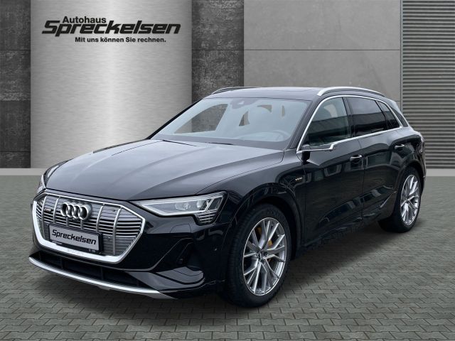 Audi e-tron 50 quattro S line Automatik Navi+Matrix-L