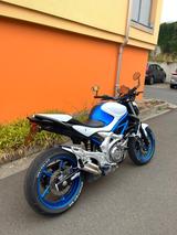 Suzuki SFV 650 Gladius - Angebote