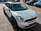 MINI COOPER_S Paceman - All4-Leder Braun -PANO- - MINI MINI: Paceman
