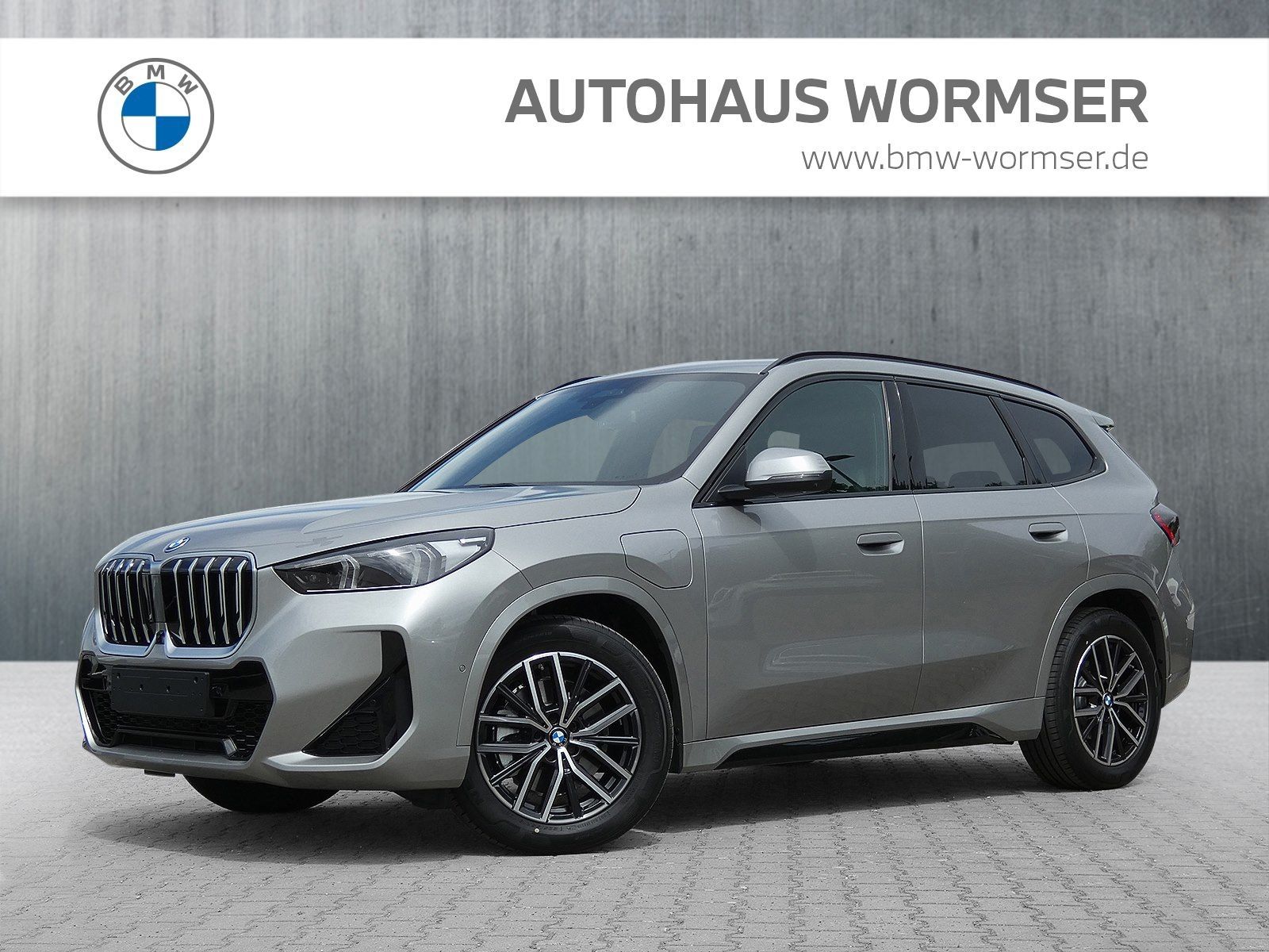 BMW X1 xDrive30e M Sportpaket Head-Up DAB LED RFK