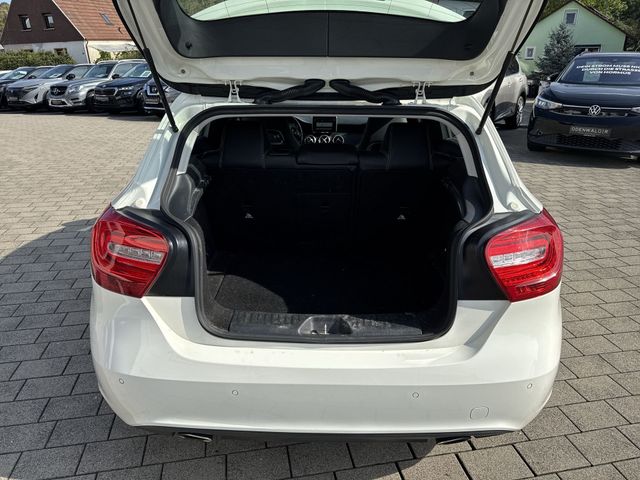 Fahrzeugbild 19