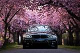 BMW 1er e82 125i - BMW 125 aus 2010