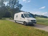 Mercedes-Benz Sprinter CDI 311 I TÜV Neu I Heimkino Option - Mercedes-Benz O