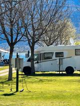 Carado T 449 - Carado T 449