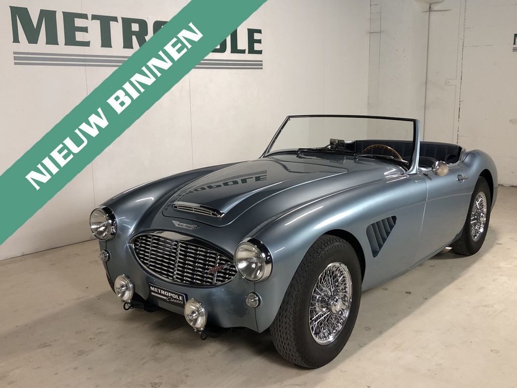 Austin Healey Andere