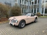 Austin Healey 3000 MK II Deutsches Topfahrzeug Hardtop