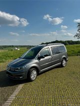 Volkswagen Caddy Maxi Highline 1.4 CNG-Erdgas - VW Caddy Maxi von privat