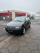 Fiat punto 1.2 Benzin - Fiat Punto in Bielefeld